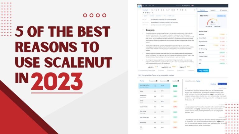 5 of the Best Reasons to Use Scalenut in 2023